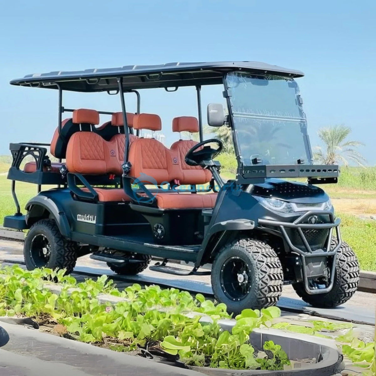 Buy Oceancartz Lifted 6-Seater (4+2) Off-Road Electric Golf Cart, 48V 5000W Motor, 130Ah Lithium Battery, 14-Inch Alloy Rims, 23x10-14 All-Terrain Tires, 100km Range - Normal Golf Carts - 4+2 Seater at Oceancartz