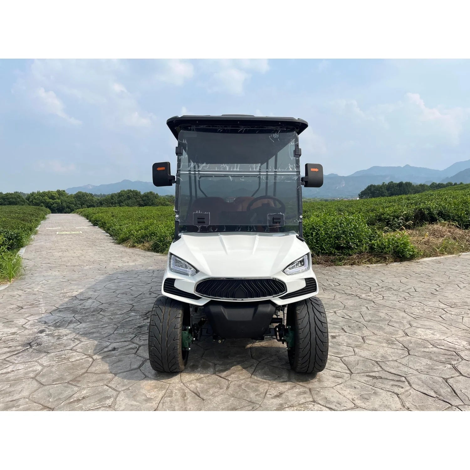 White golf cart on a paved path with greenery and mountains in the background